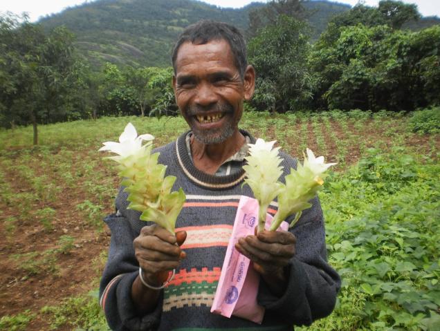 Tribal farmer Killo Dombu and his land cultivated under NABARD's 'Maa Thota' scheme at Anthriguda hamlet in Ananthagiri mandal in Visakhapatnam district. / Special Arrangement / The Hindu