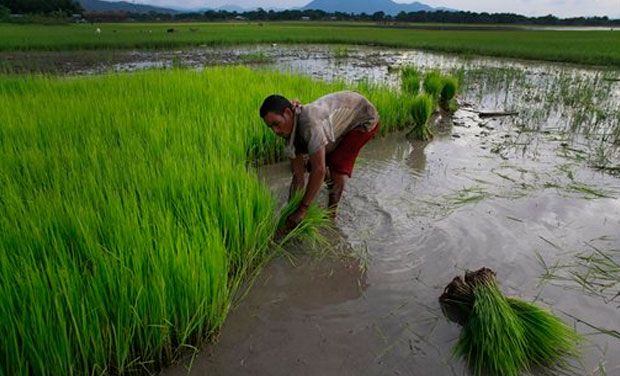 Picture used for representational purpose. (Photo: DC)