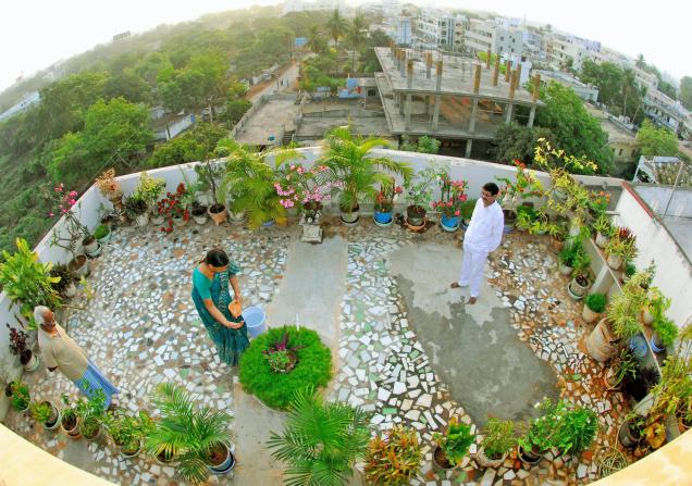 Terrace Cultivation Catching Up In, How To Set Up Terrace Garden In India